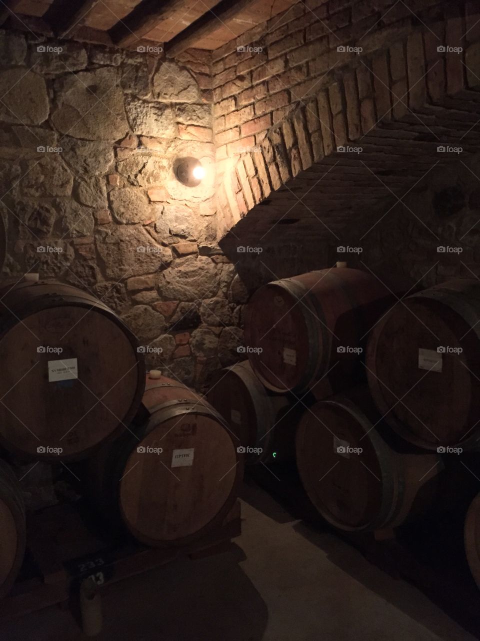CA winery-the Castel