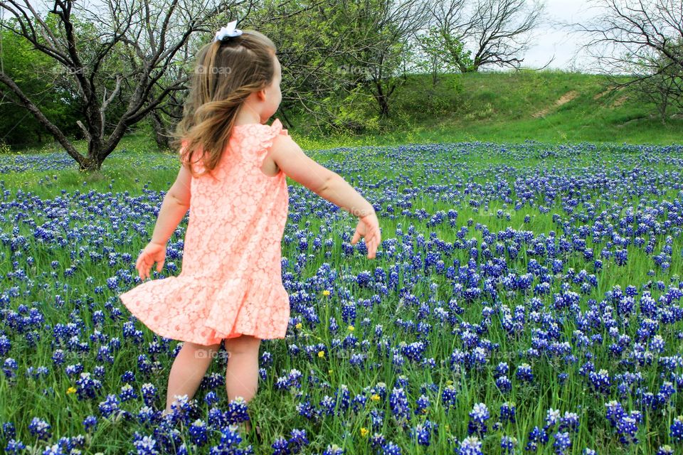 Blowing in the Bluebonnets