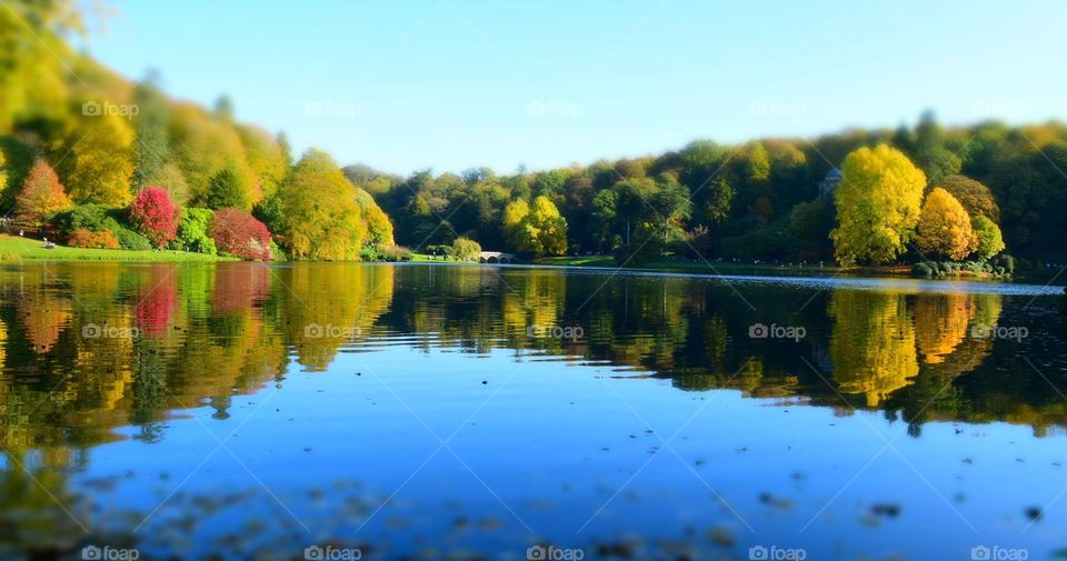 Stunning lakeside autumnal reflections 