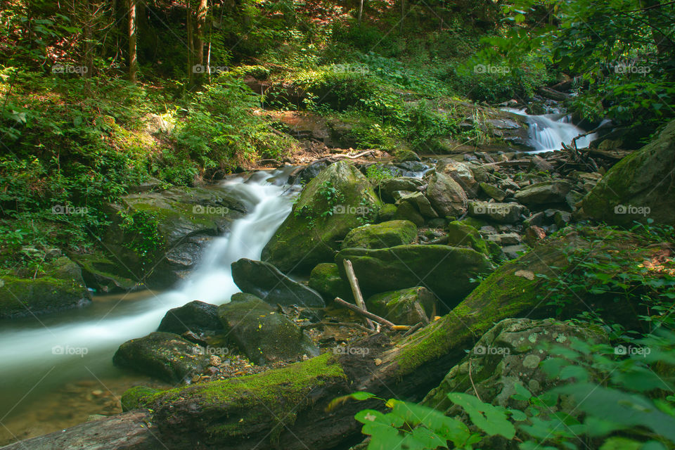 Amicolola State park in Georgia
