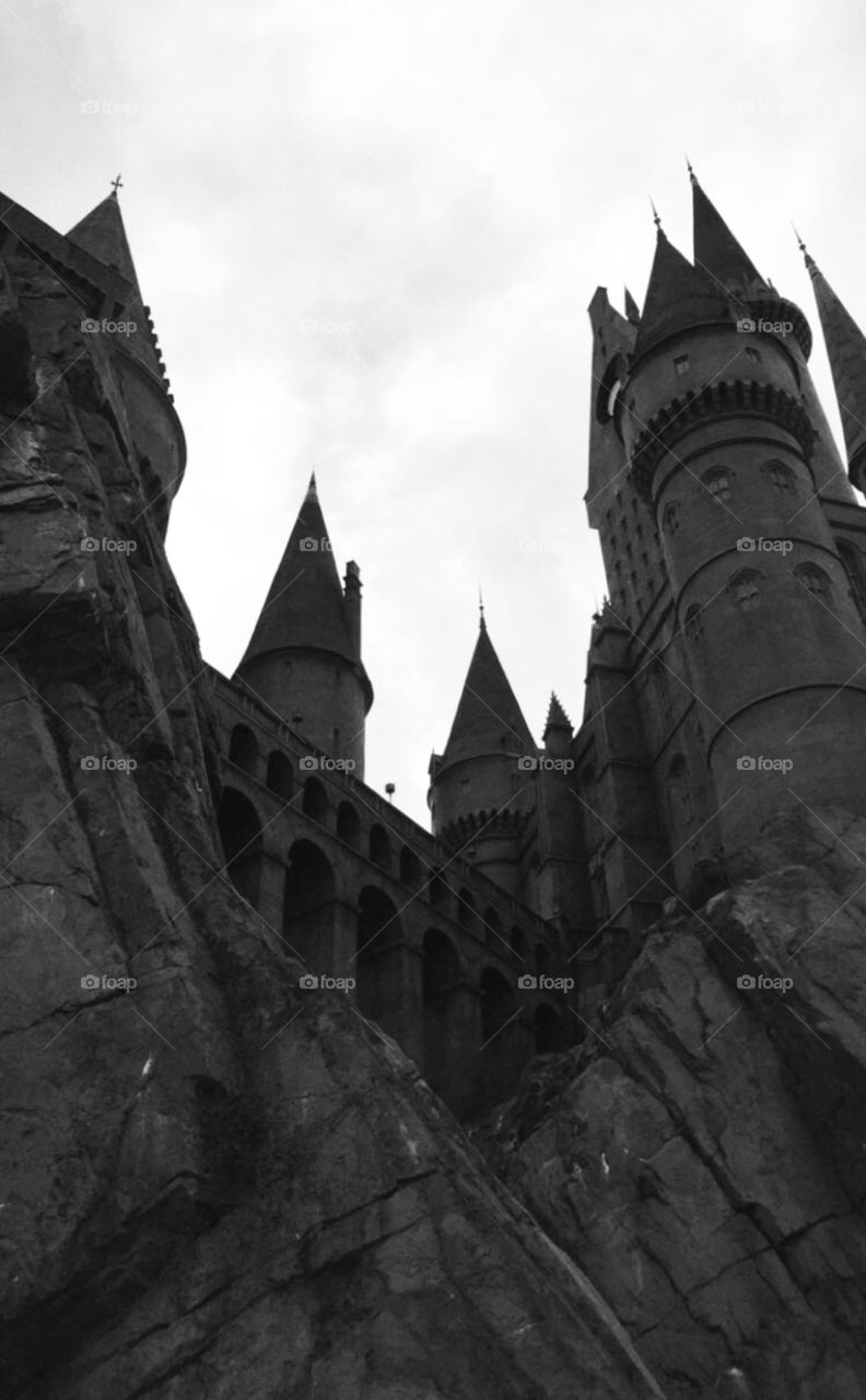 Hogwarts in Florida