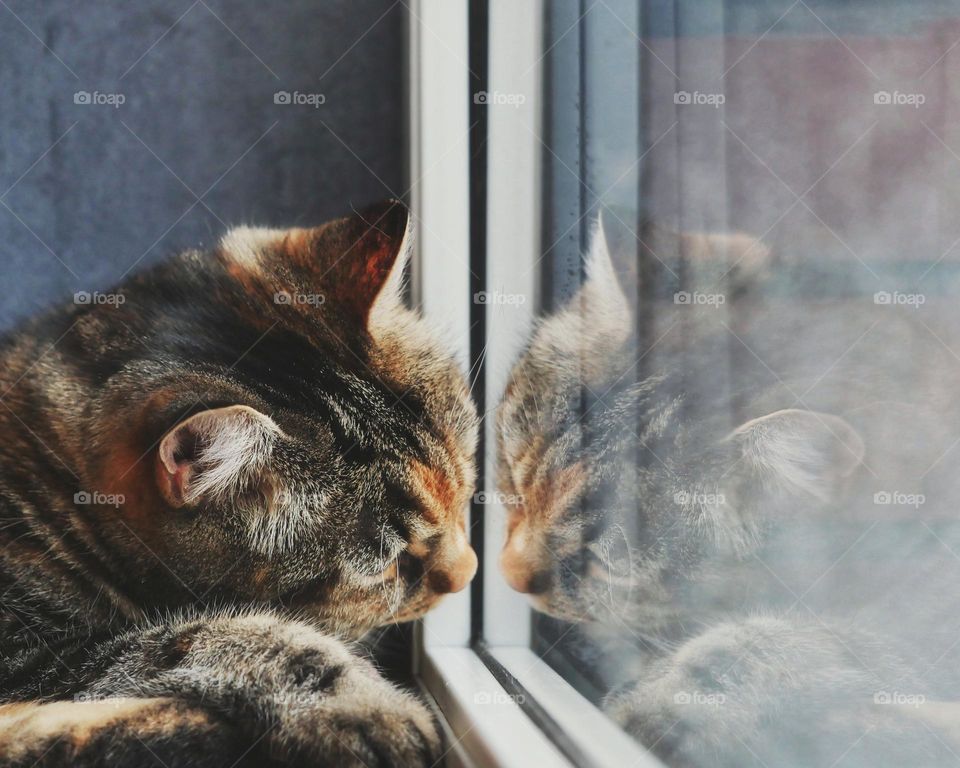 At the window