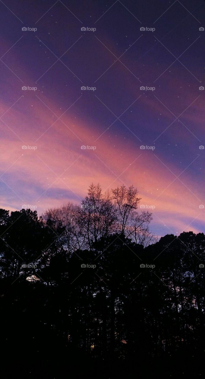 Dreams are the beginning of goals