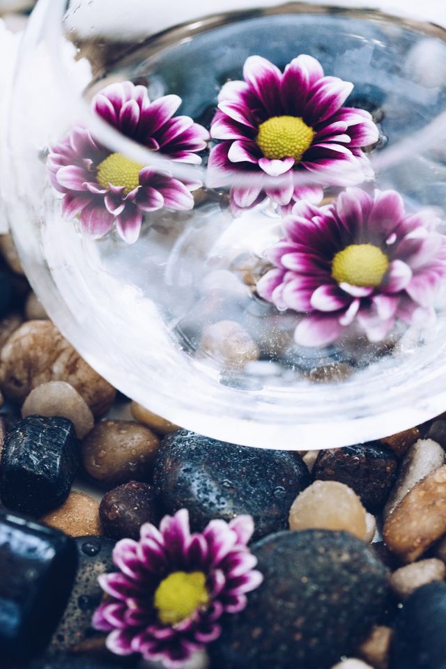 Flower On Stone