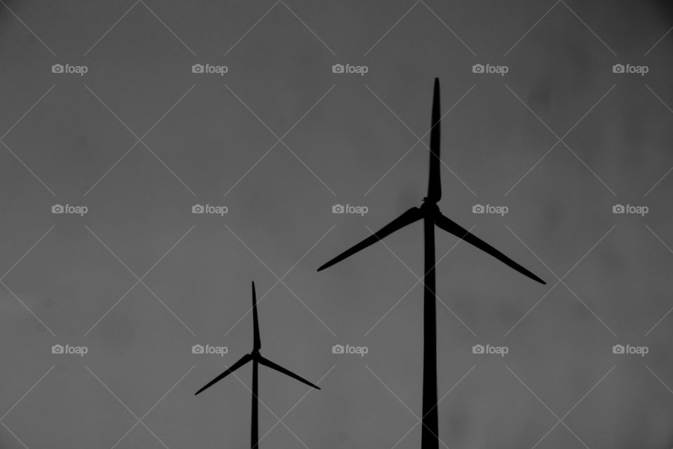 Wind, Electricity, Windmill, Sustainability, No Person