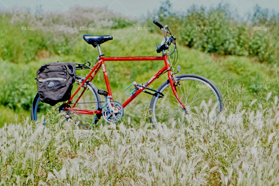 red bicycle at grass field