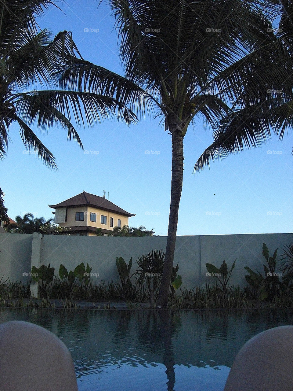 tree water spa leg by thepapierdollies