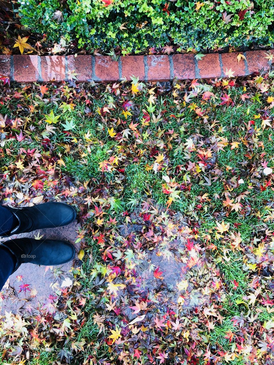 Rain boots with fall foliage
