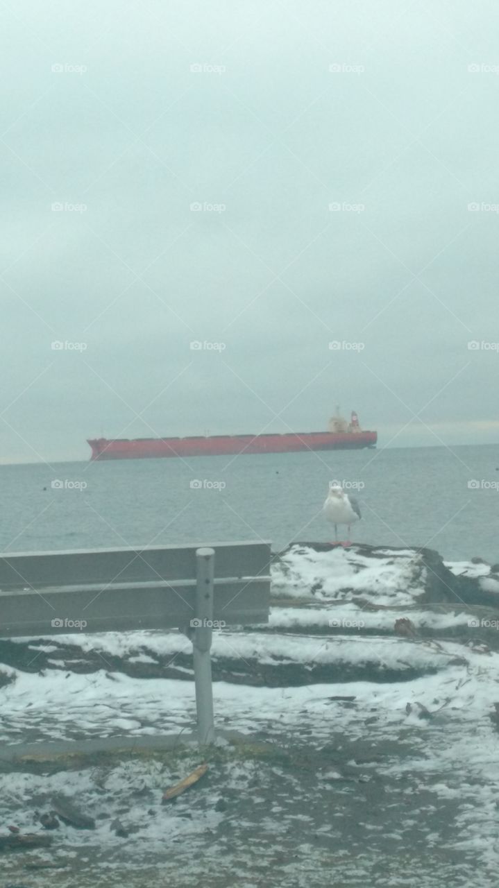 Tanker on the ocean
