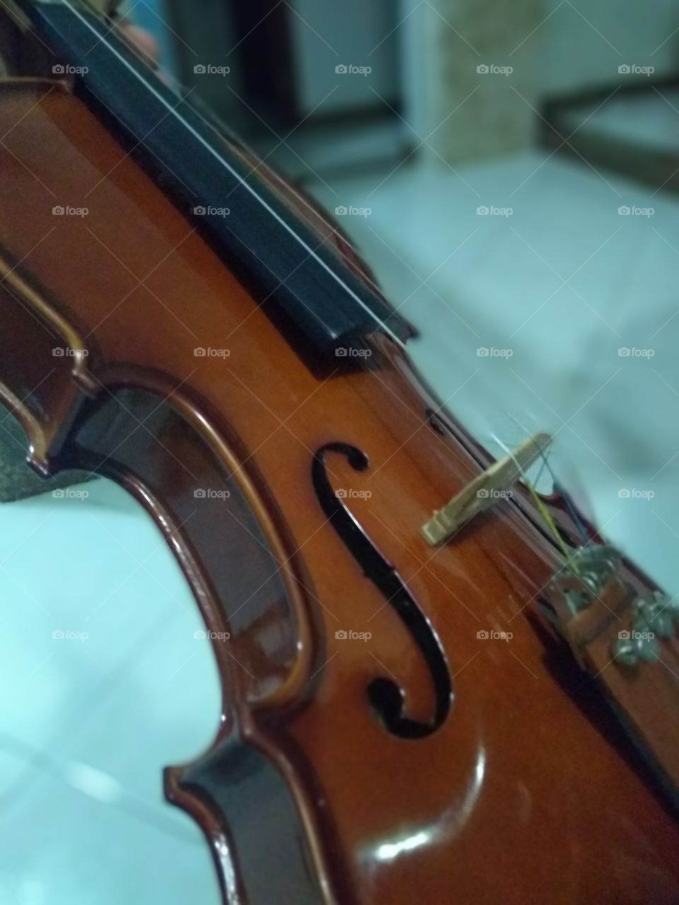 Live violin