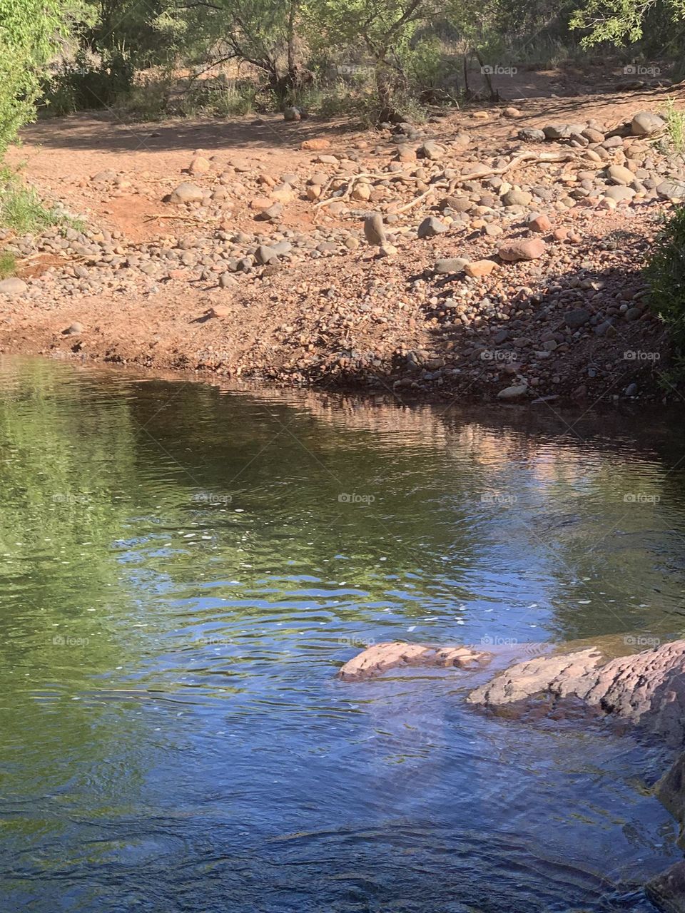 Beauty and peace in the desert 🌵