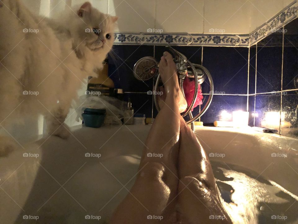 Bubble bath and kitty