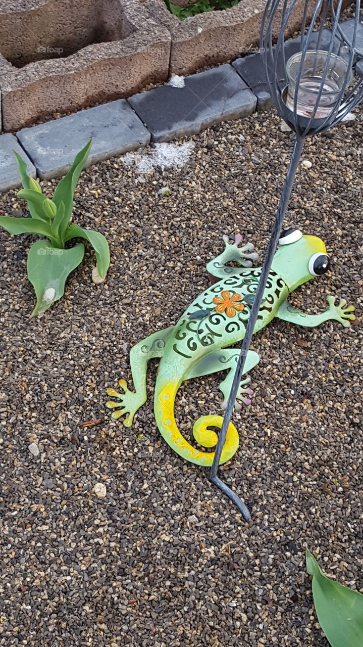 Frühling - Spring Blumen 🌹🤗🌞