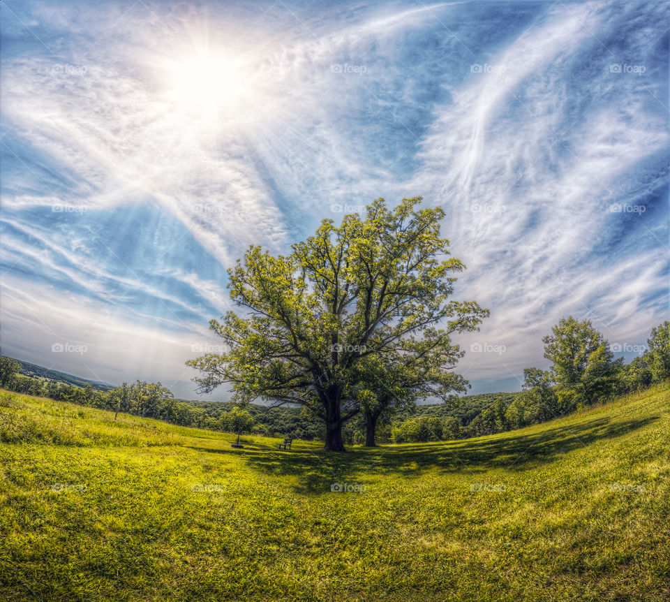 Peaceful Hilltop Sanctuary