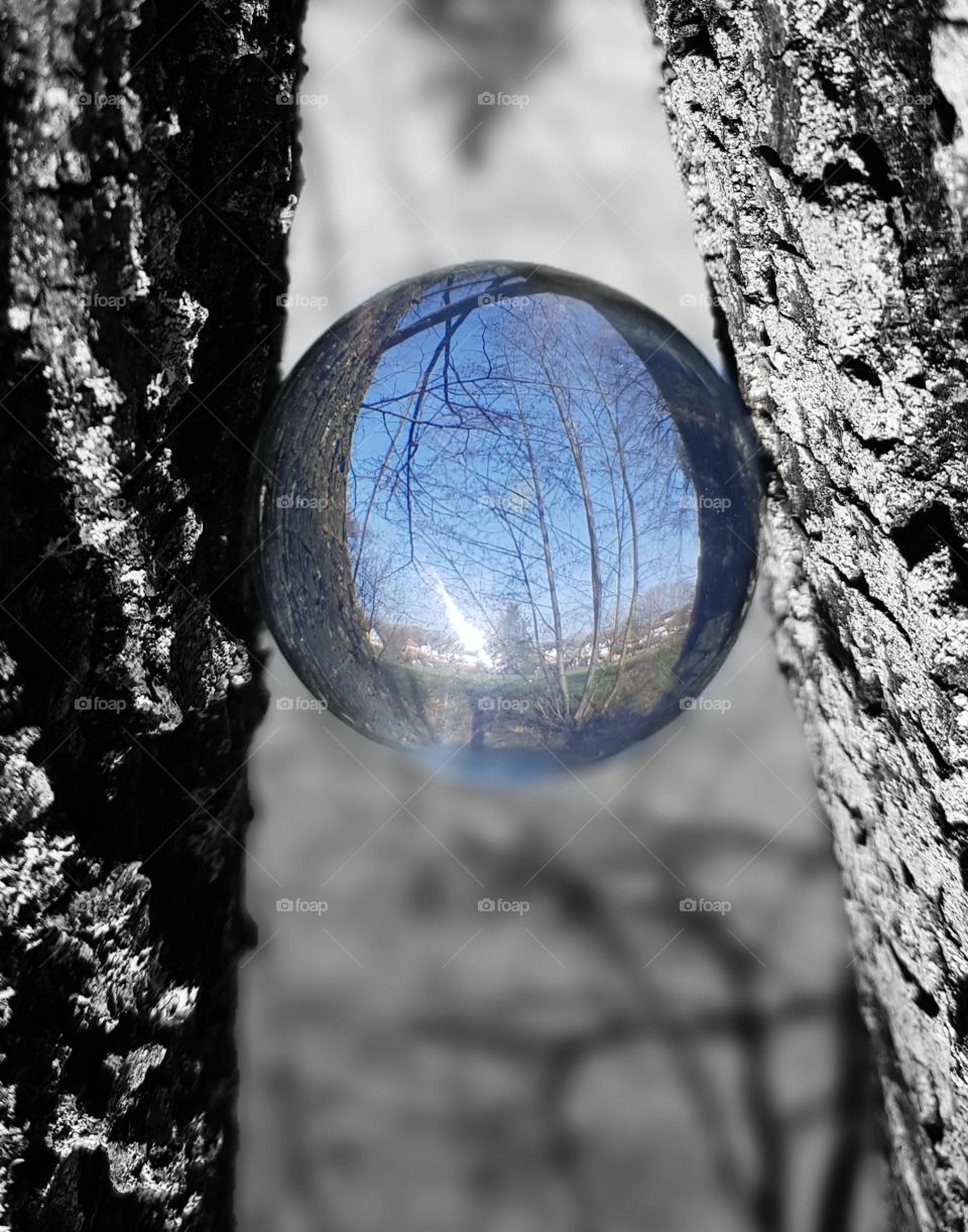 Lensball between Trees