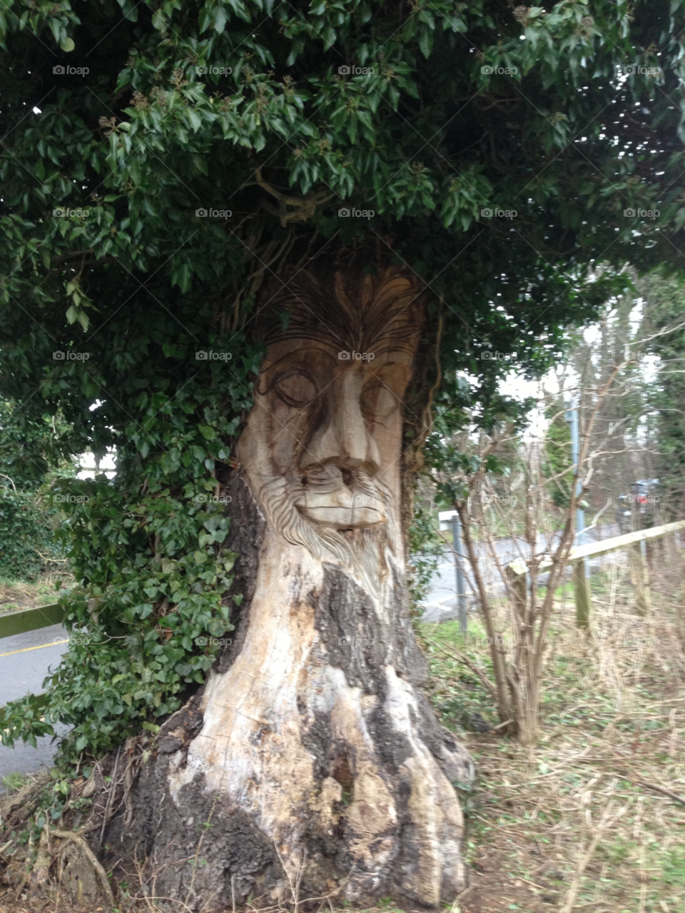 face wood tree carving by aland134