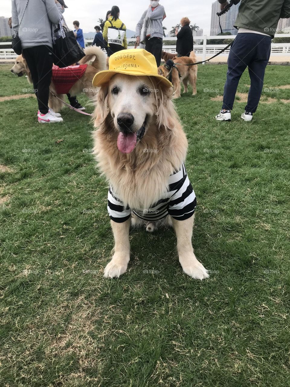 What a beautiful outfit 