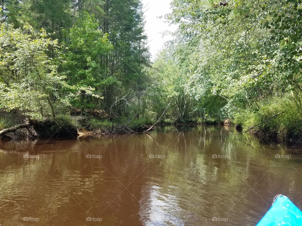 kayaking trip wharton state park nj