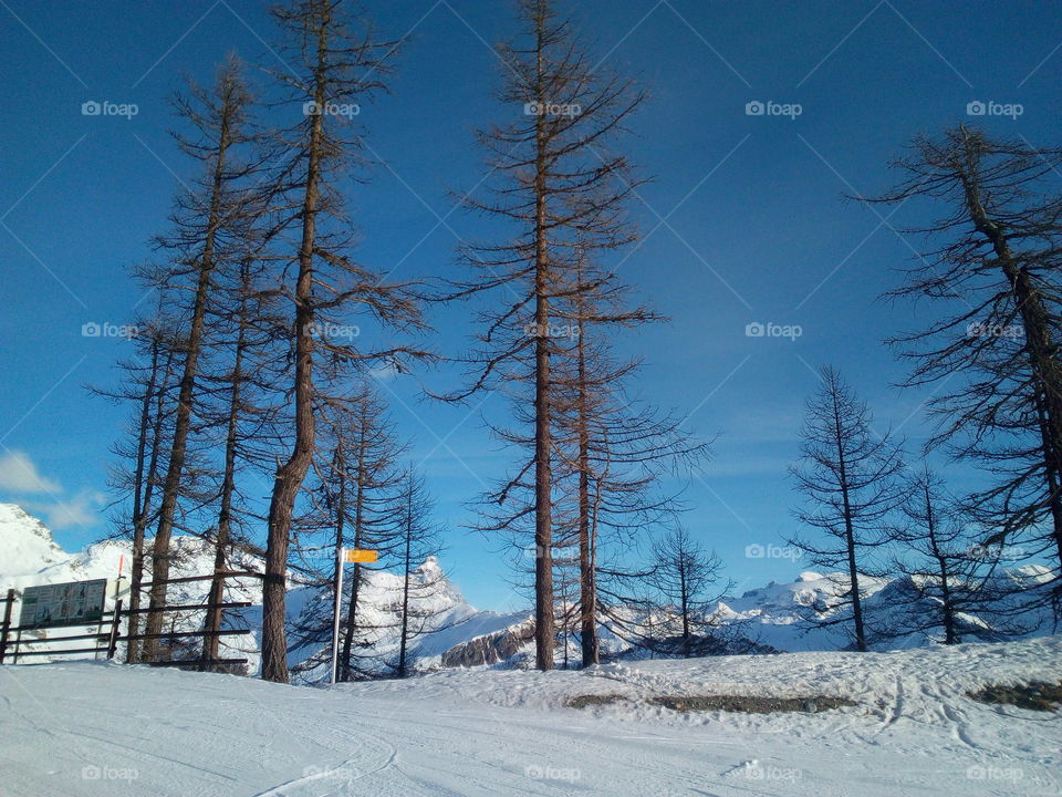 sulle piste da sci