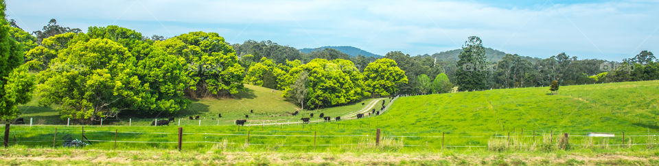 View of farm