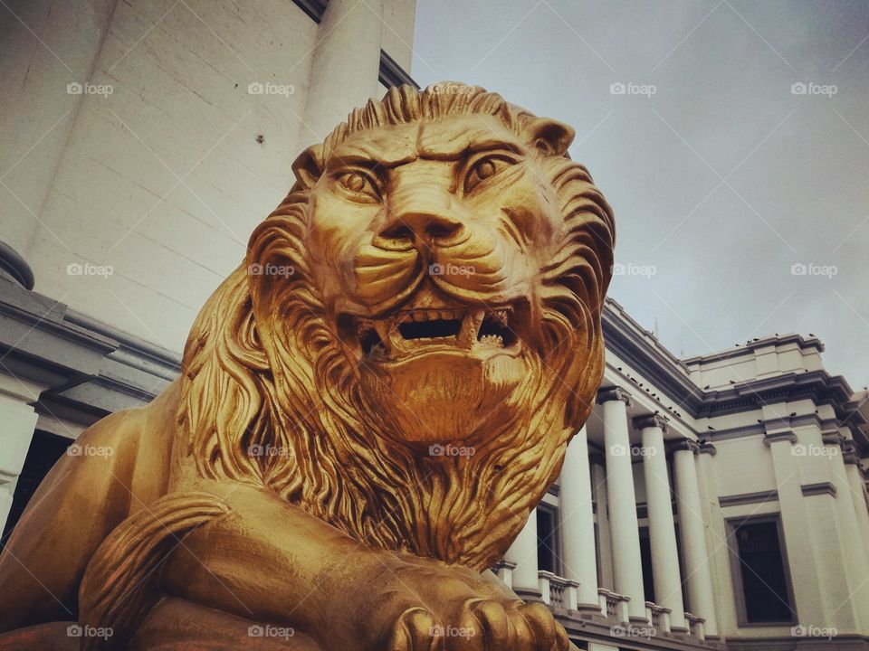 golden lion of telegraphs of Mexico (heroic city of Veracruz)