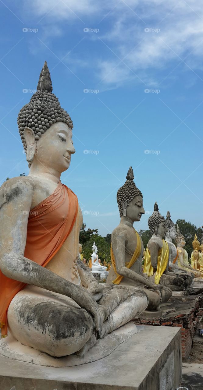 Field of buddha statue