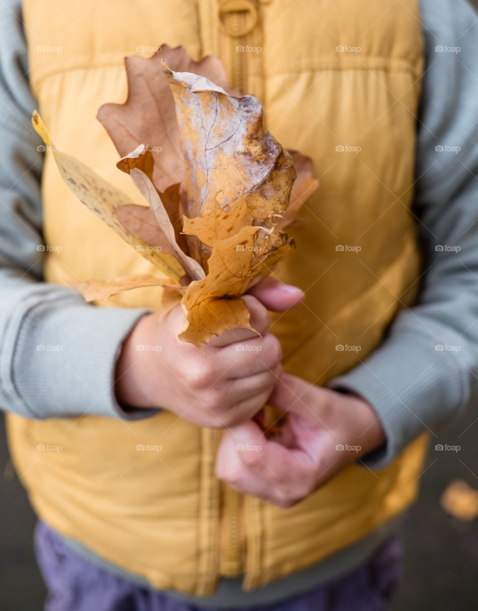 Kids hands holding autumn leaves 