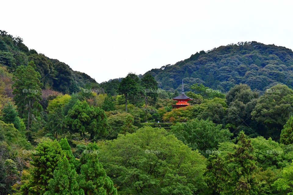 Beautiful Japanese landscapes