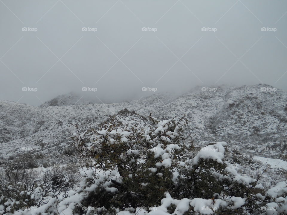 Freak desert snow. More snow on four peaks in the AZ desert