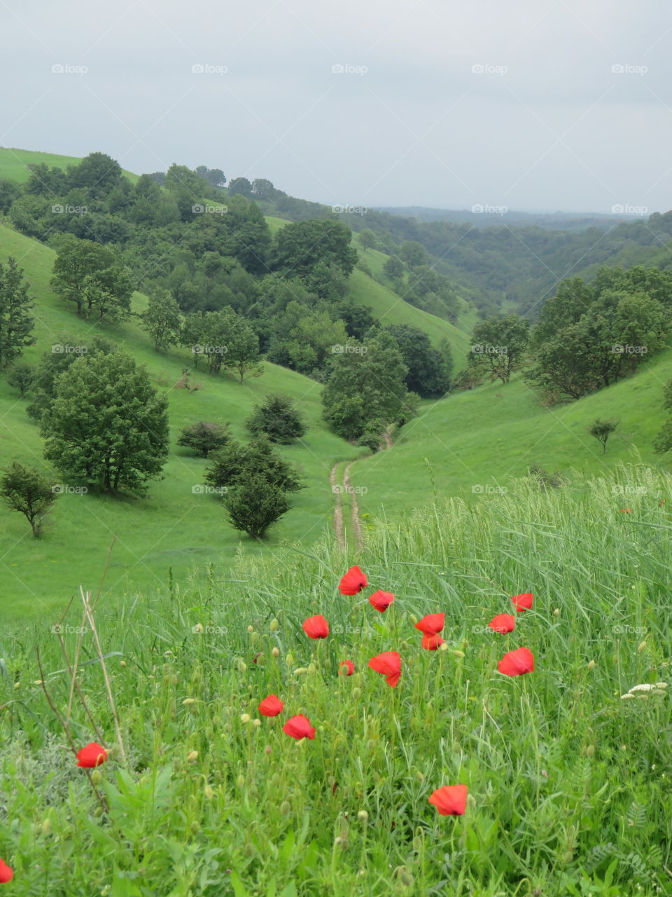 Green desert idyllic place we've been and explored this summer