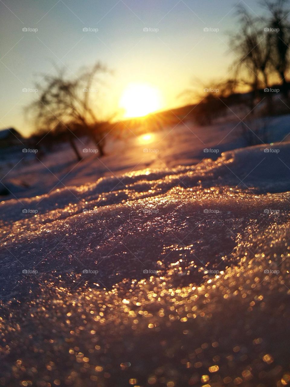 photo of snowy landskape at sunset. Snow reflects sunlight. Photo is in warm photos