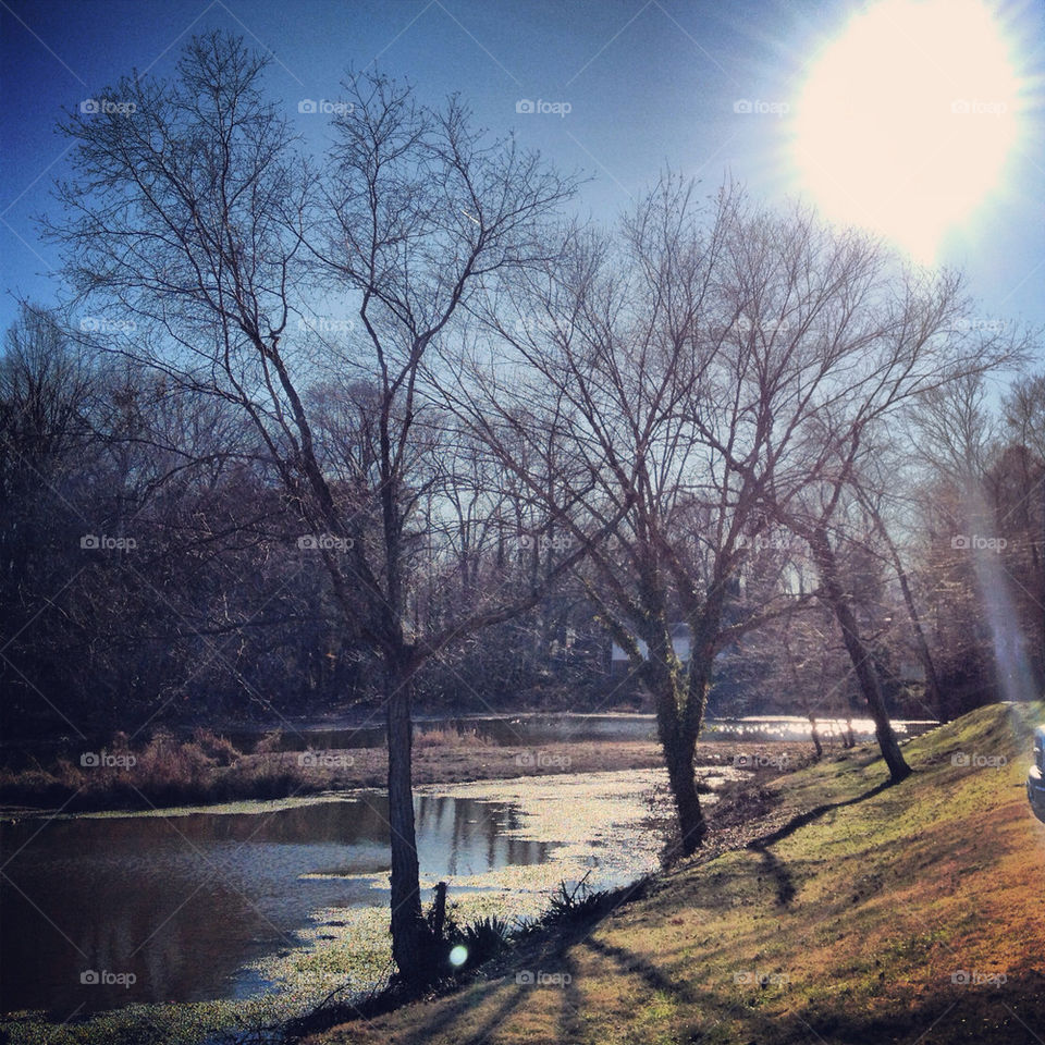 A beautiful day in Richmond, VA
