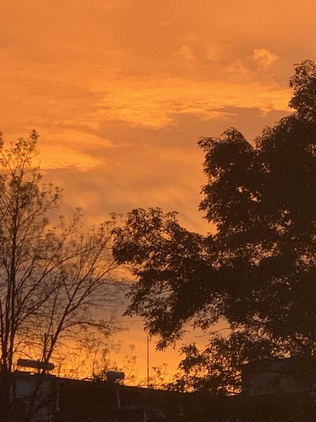 Beautiful Sunset