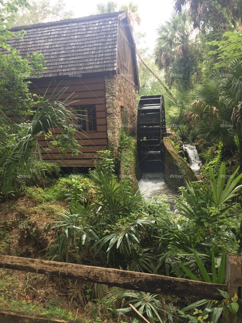 Historic mill house with paddle wheel using the power of spring water to run a generator for electricity 