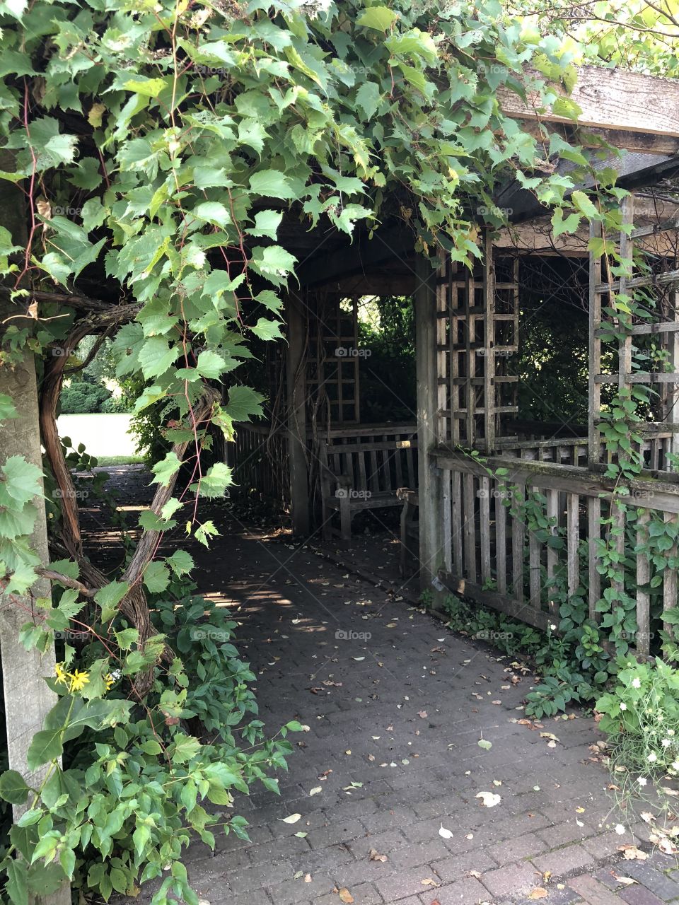 Structure at McCrory Gardens