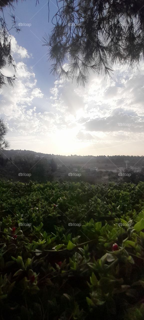 Nice view from Jordan 🇯🇴