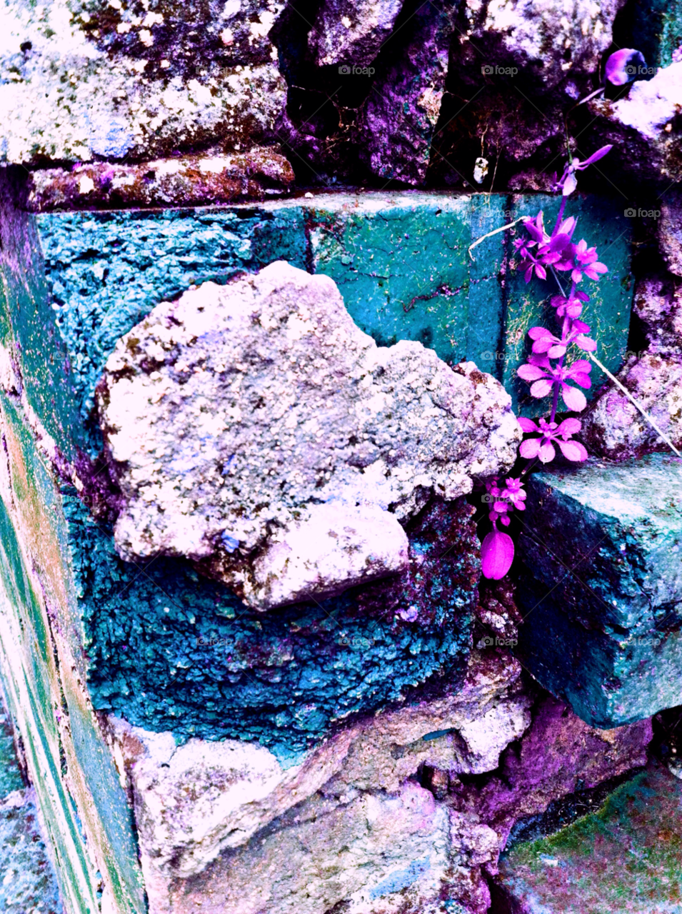 wall art brick ivy by judgefunkymunky