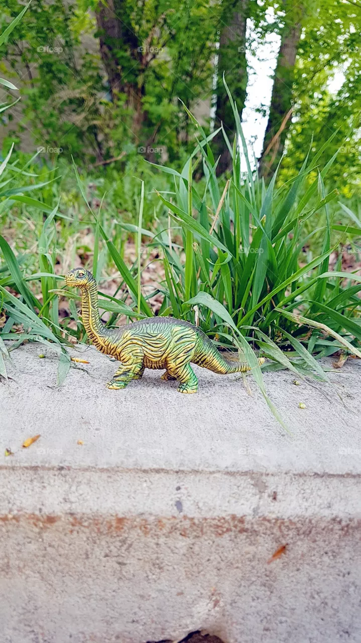 dinosaur