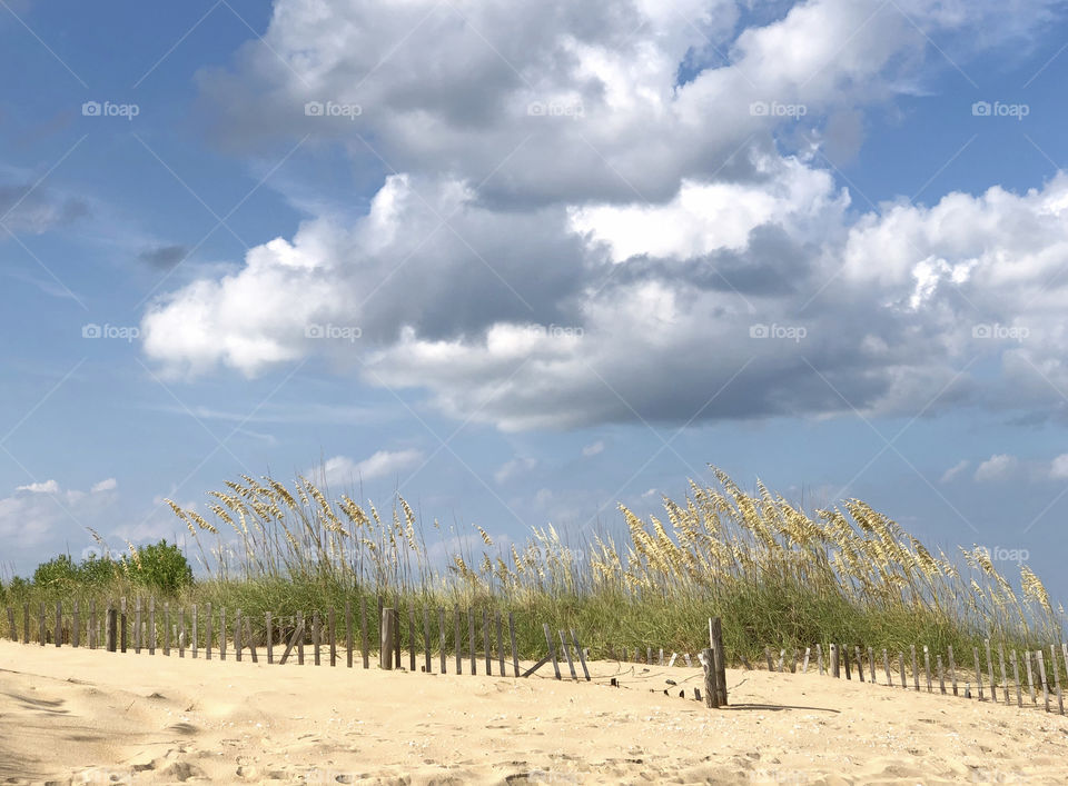 Half buried fencing on a beach dune under a sunny blue cloudy sky