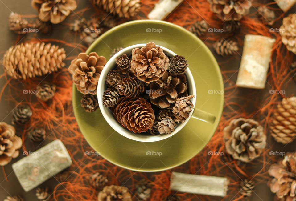 Pine Cones