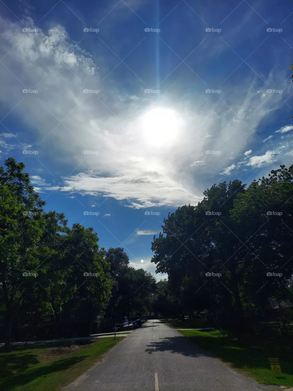 Sunny ! 🌞