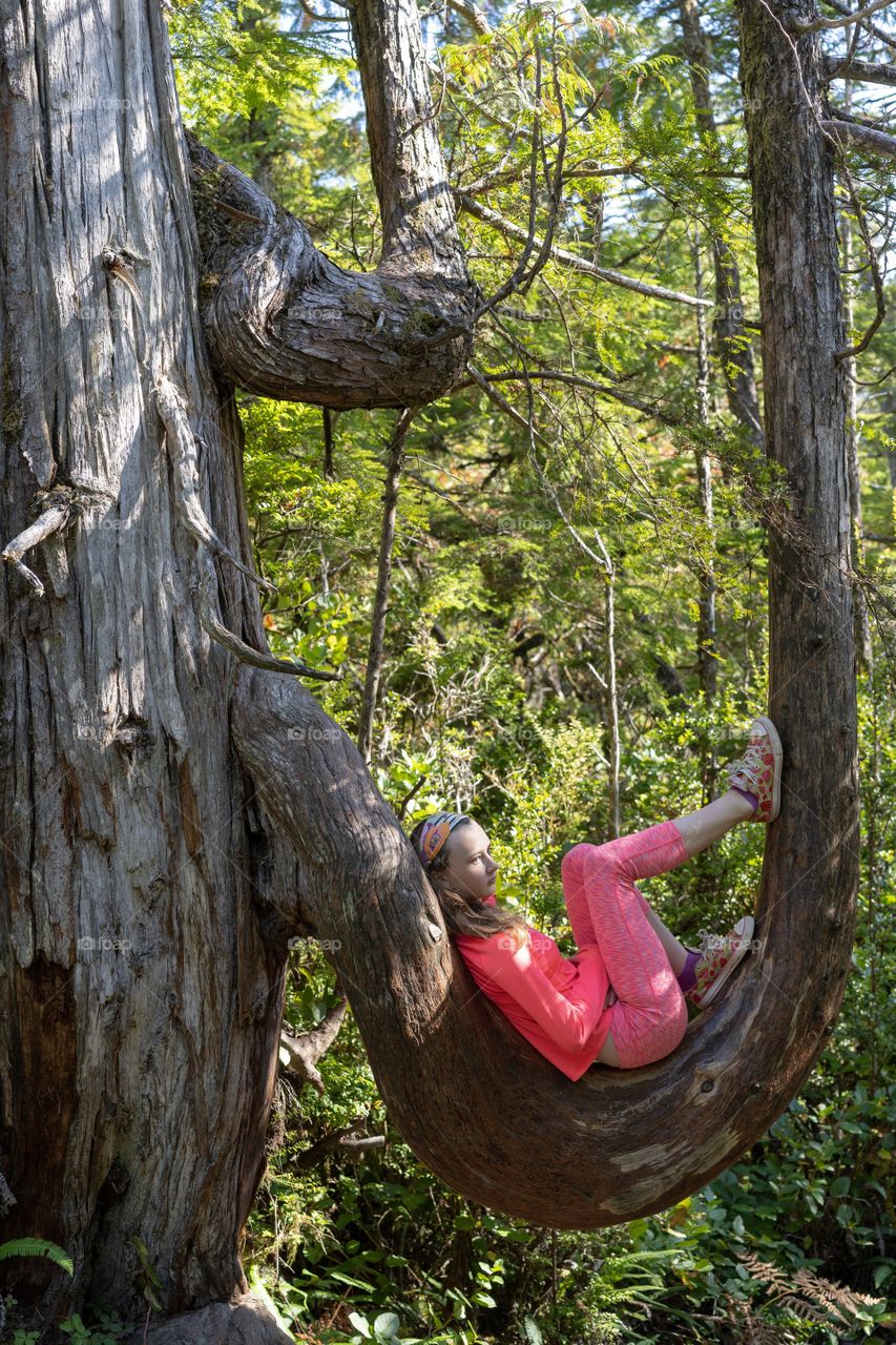 Girl resting on a tree branch in the rainforest of Vancouver Island, British Columbia 