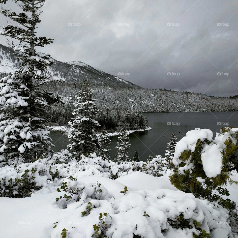 winter wonderland, lake Tahoe, CA