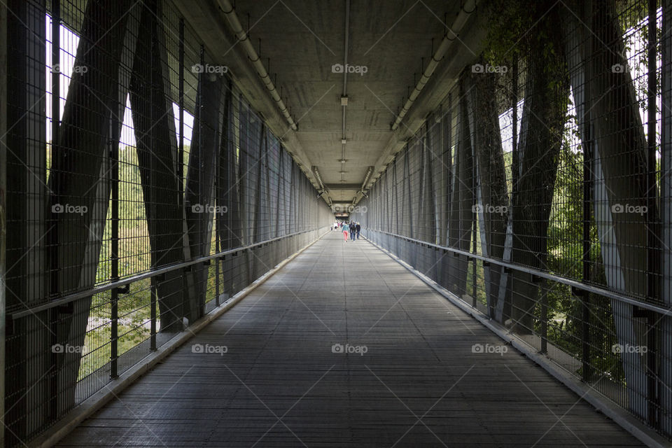 Isar River Bridge Walk 