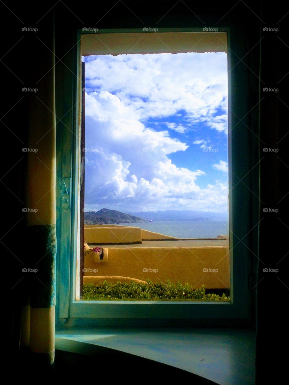Window