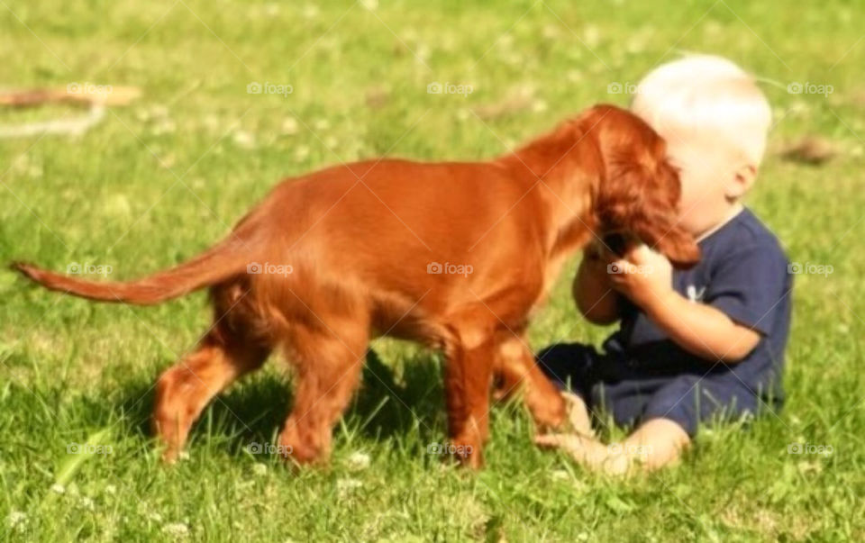 child fun playing barn by paula