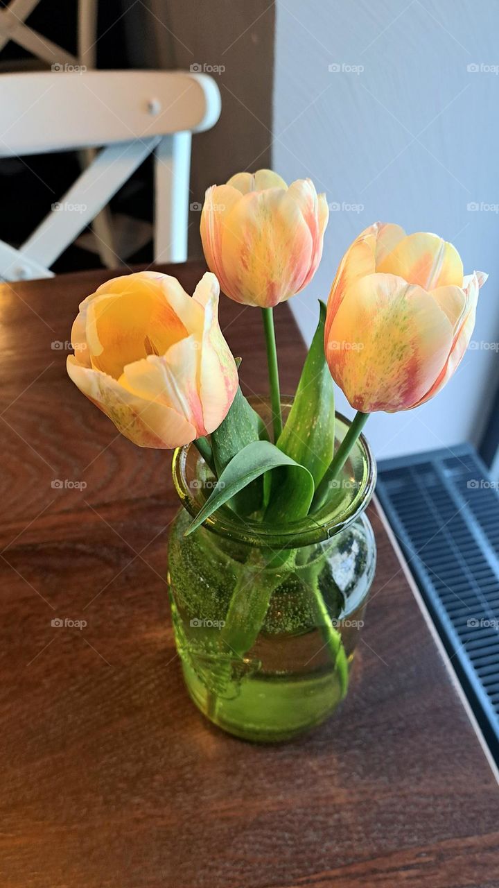 tulips in the vase