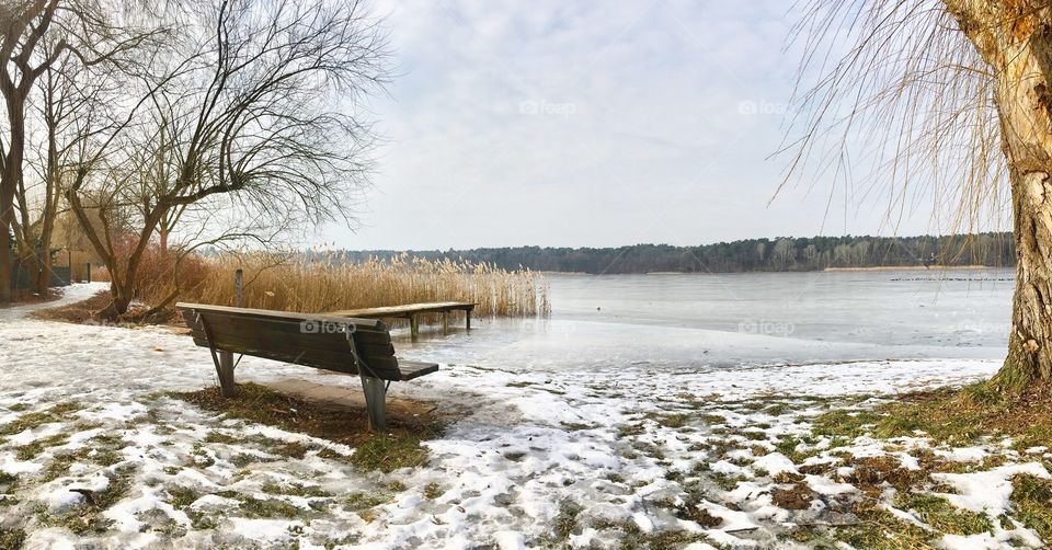 Lake nature
