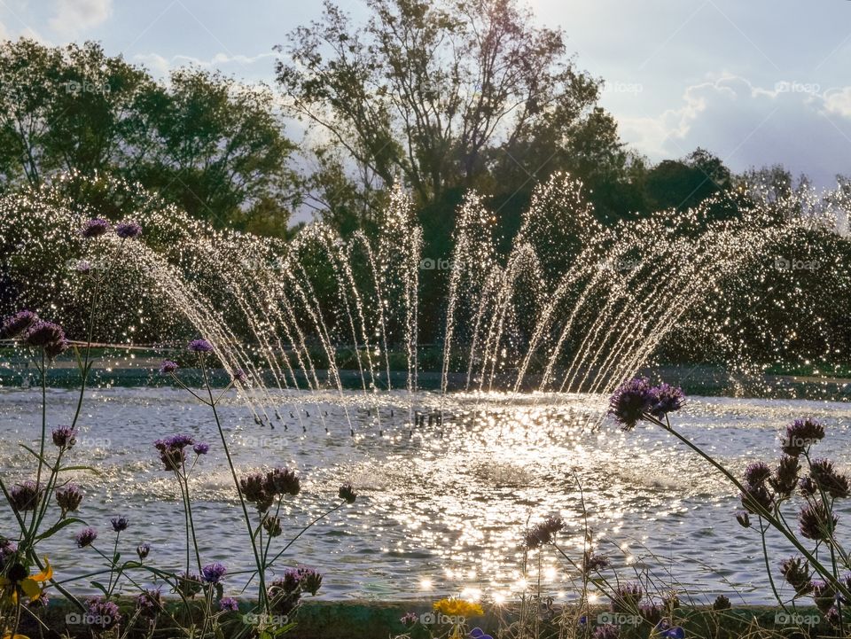 fountain