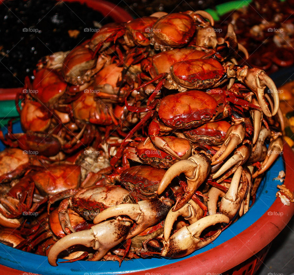 loads of crabs